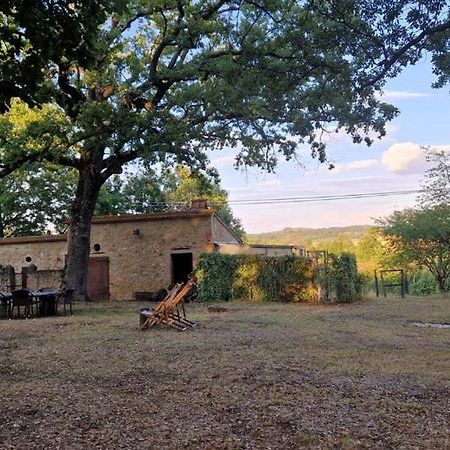 Agriturismo Torrenieri Da Alessandro Pienza Extérieur photo