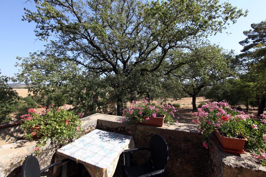 Agriturismo Torrenieri Da Alessandro Pienza Extérieur photo
