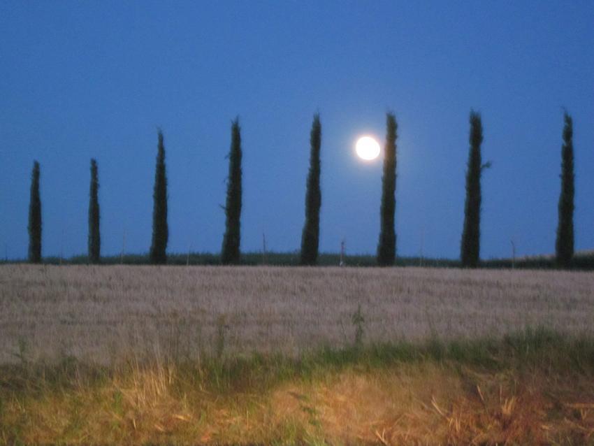 Agriturismo Torrenieri Da Alessandro Pienza Extérieur photo