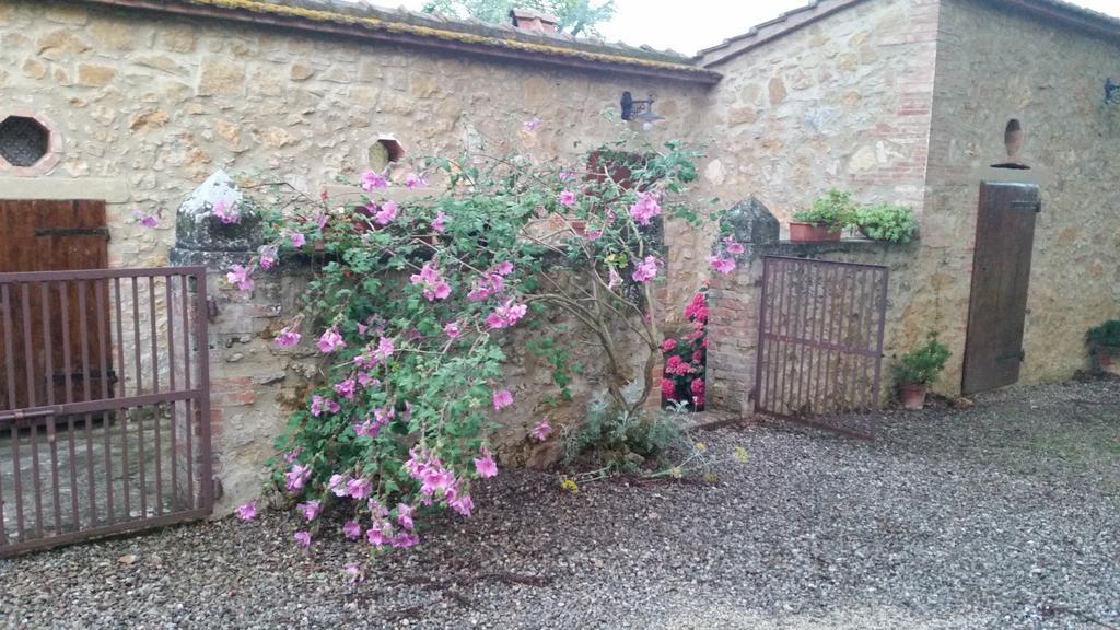 Agriturismo Torrenieri Da Alessandro Pienza Extérieur photo