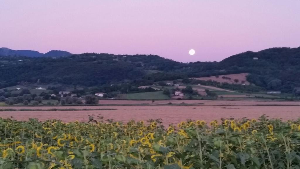 Agriturismo Torrenieri Da Alessandro Pienza Extérieur photo